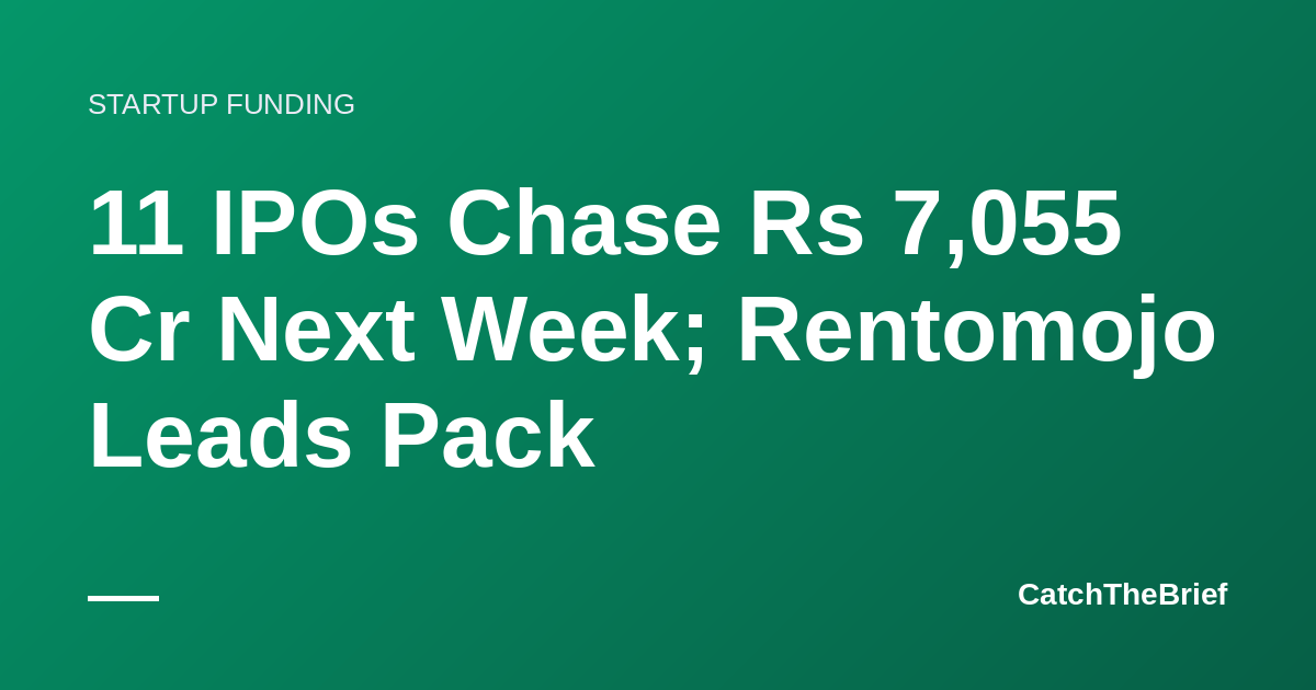 11 IPOs Chase Rs 7,055 Cr Next Week; Rentomojo Leads Pack